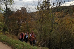 jeunes mariés 2017 Ingersheim (10)