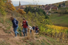 jeunes mariés 2017 Ingersheim (14)
