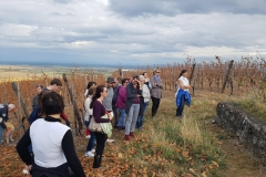 jeunes mariés 2017 Ingersheim (16)
