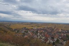 jeunes mariés 2017 Ingersheim (21)