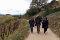 jeunes mariés 2017 Ingersheim (24)
