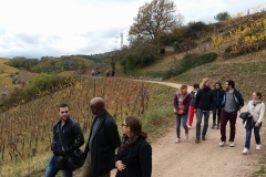 jeunes mariés 2017 Ingersheim (25)