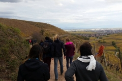 jeunes mariés 2017 Ingersheim (26)