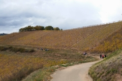 jeunes mariés 2017 Ingersheim (27)