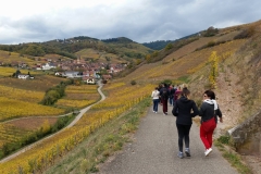 jeunes mariés 2017 Ingersheim (28)