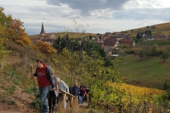 jeunes mariés 2017 Ingersheim (5)