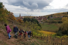 jeunes mariés 2017 Ingersheim (9)